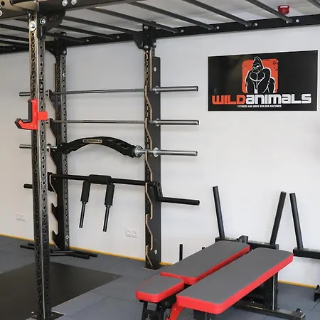 Budafoki Otel Budapeşte